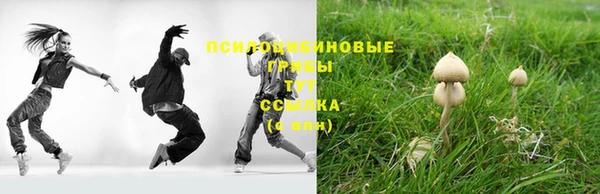 трава Краснотурьинск