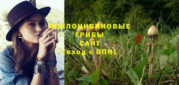стафф Красноперекопск