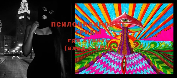 PSILOCYBIN Краснослободск
