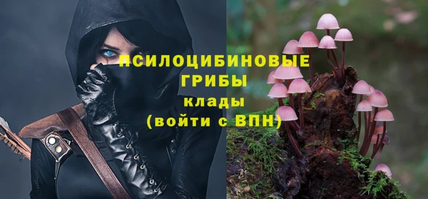 стафф Красноперекопск