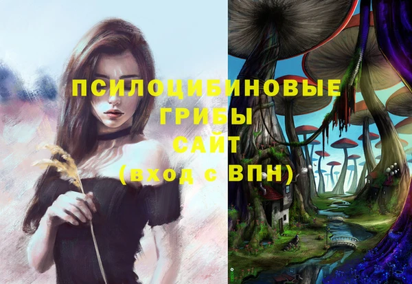 PSILOCYBIN Краснослободск