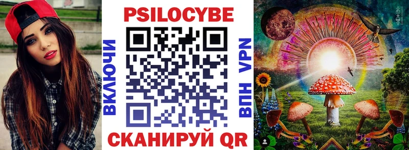 shop как зайти  Медвежьегорск  Псилоцибиновые грибы GOLDEN TEACHER 